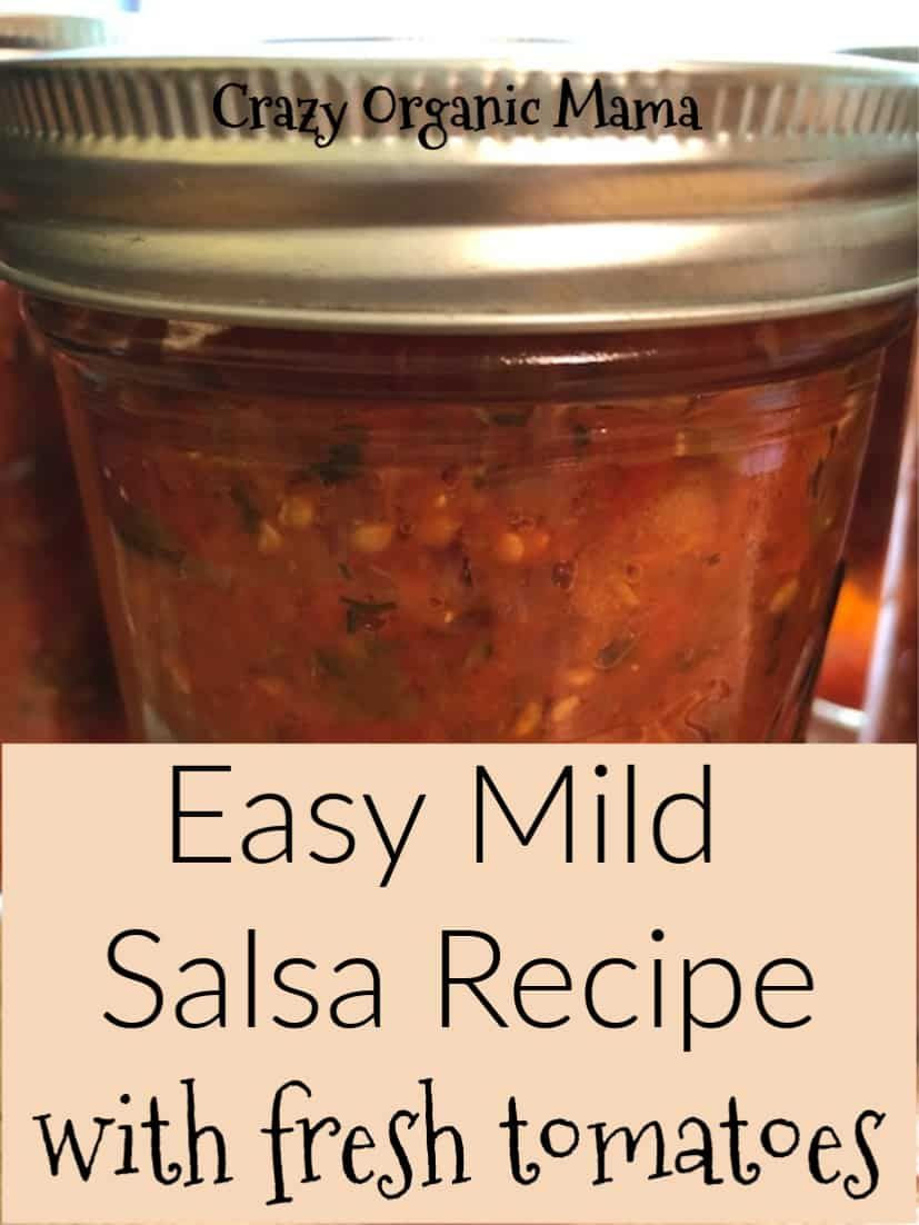 Mild Salsa Recipe
 Easy Mild Salsa Recipe