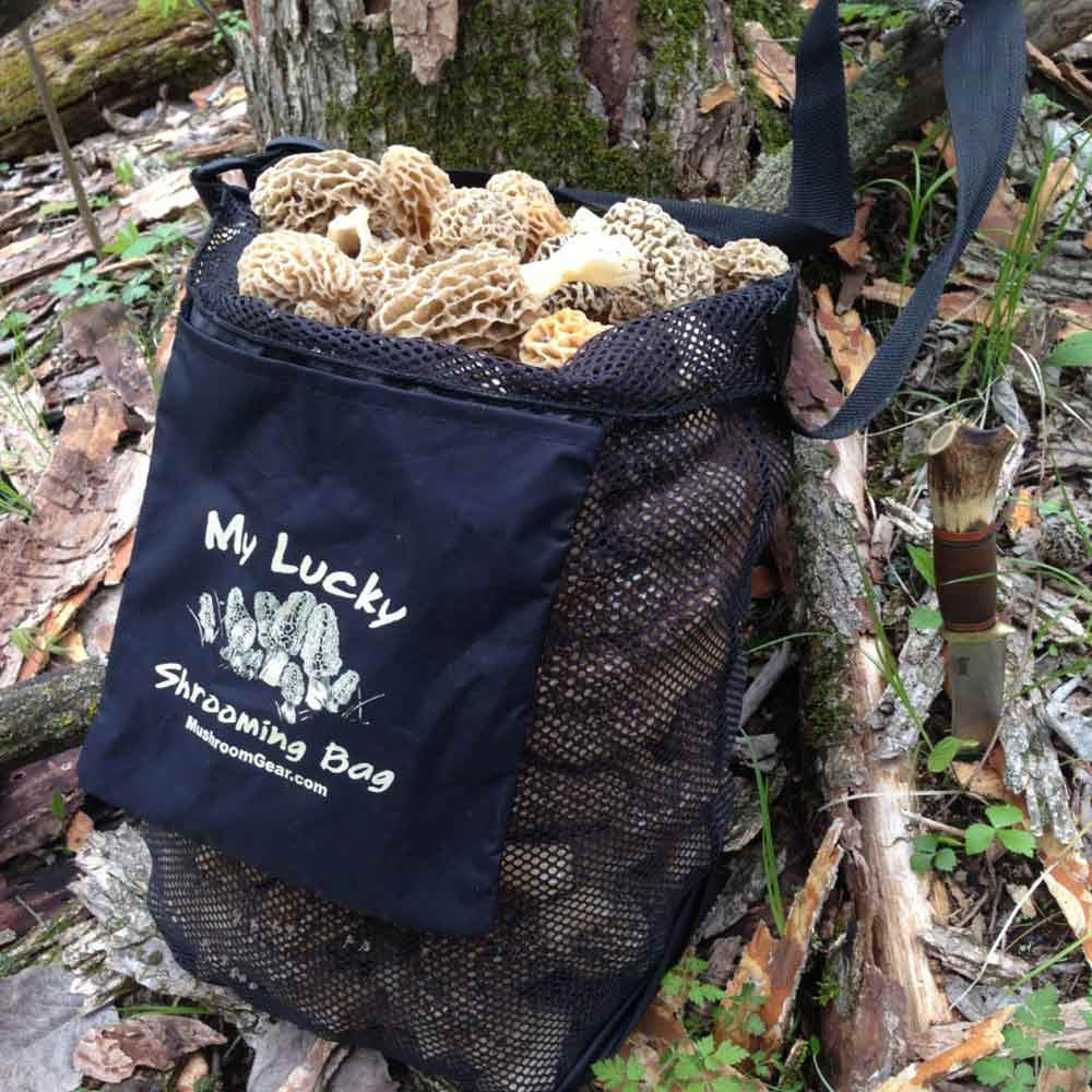 Morel Mushrooms Hunting
 Mushroom Hunting Bag Morel Mushroom Gear