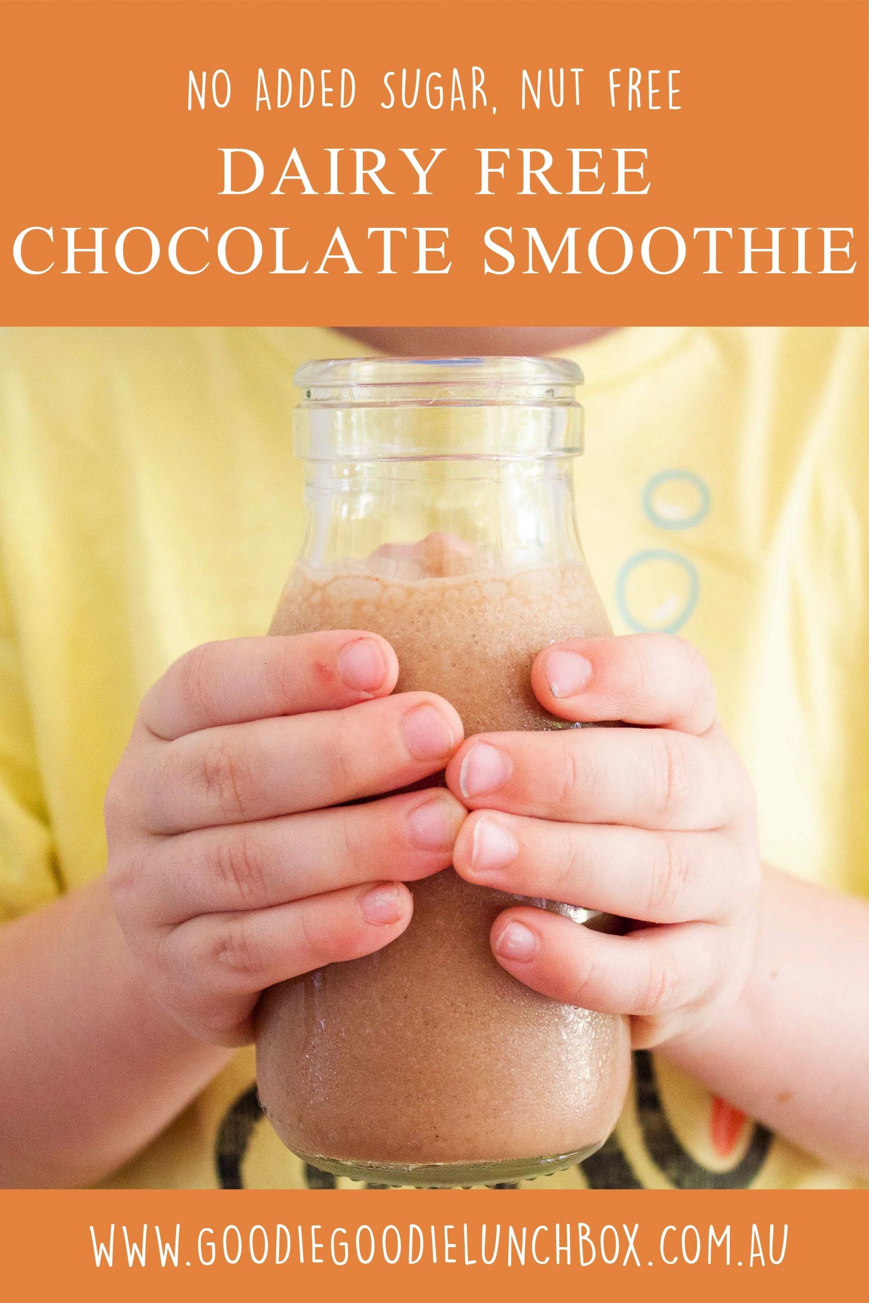 No Dairy Smoothies
 Dairy Free Chocolate Smoothie Recipe