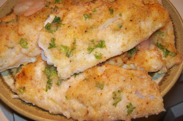 Oven Fish Recipes
 Oven Baked Fish Fillets With Parmesan Cheese Recipe Food