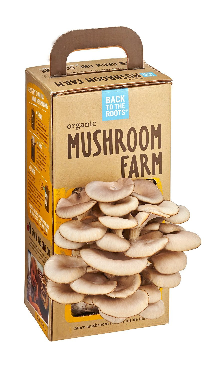 Oyster Mushrooms Kits
 Mushroom Growing Kits