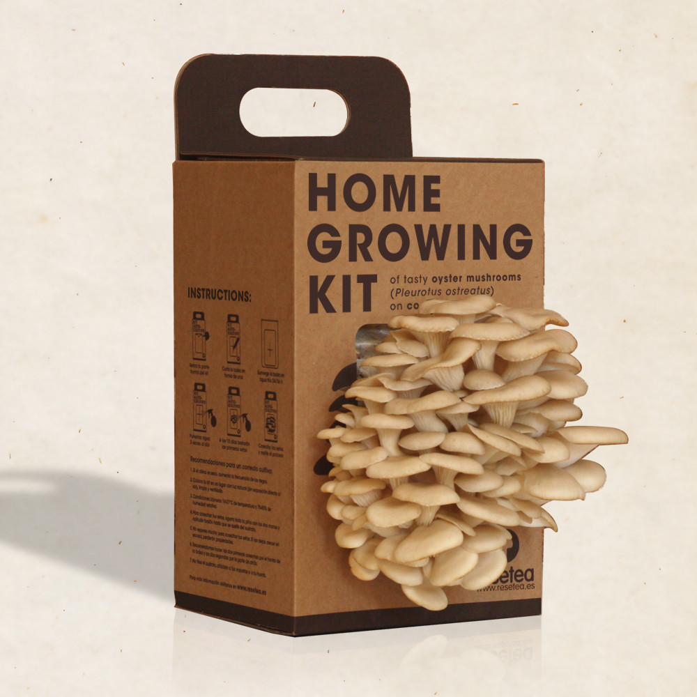 Oyster Mushrooms Kits
 Oyster Mushroom home growing kit Resetea
