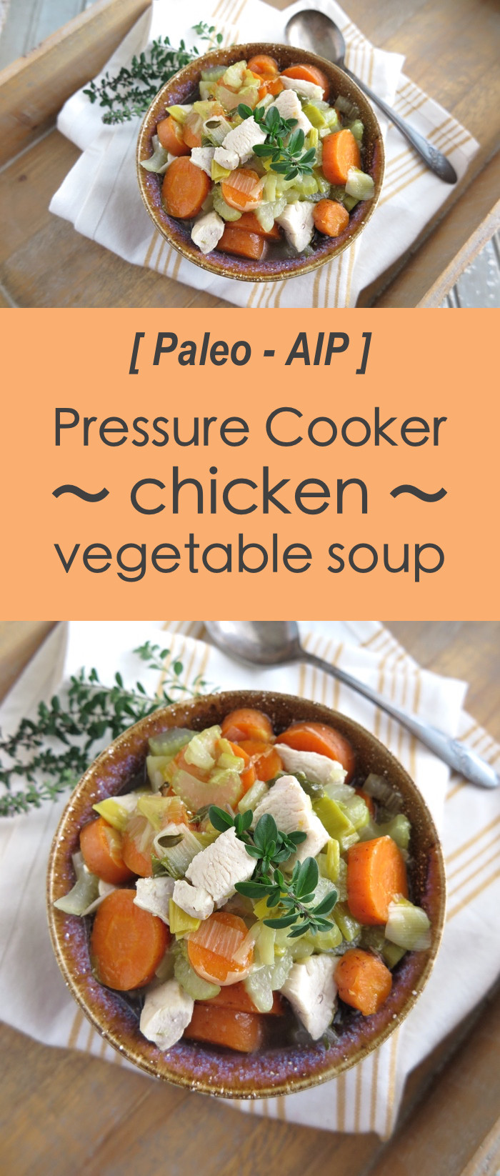 Paleo Chicken Vegetable Soup
 The Best Pressure Cooker Chicken Ve able Soup Paleo