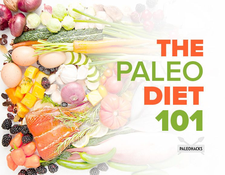 Paleo Diet 101
 The Paleo Diet 101