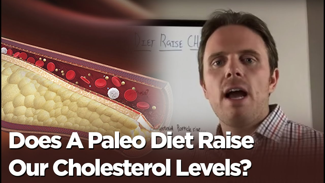 Paleo Diet Cholesterol
 Does A Paleo Diet Raise Our Cholesterol Levels Part 1
