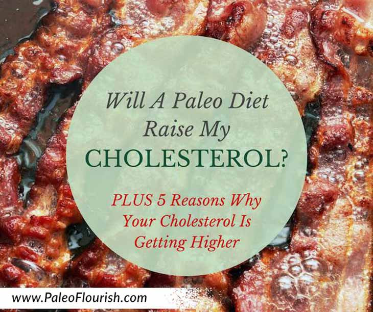 Paleo Diet Cholesterol
 Will A Paleo Diet Raise My Cholesterol PLUS 5 Reasons Why
