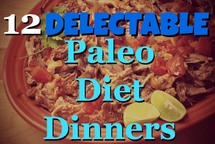Paleo Diet Dinner Ideas
 12 Delectable Paleo Diet Dinner Recipes Paleo Diet Success