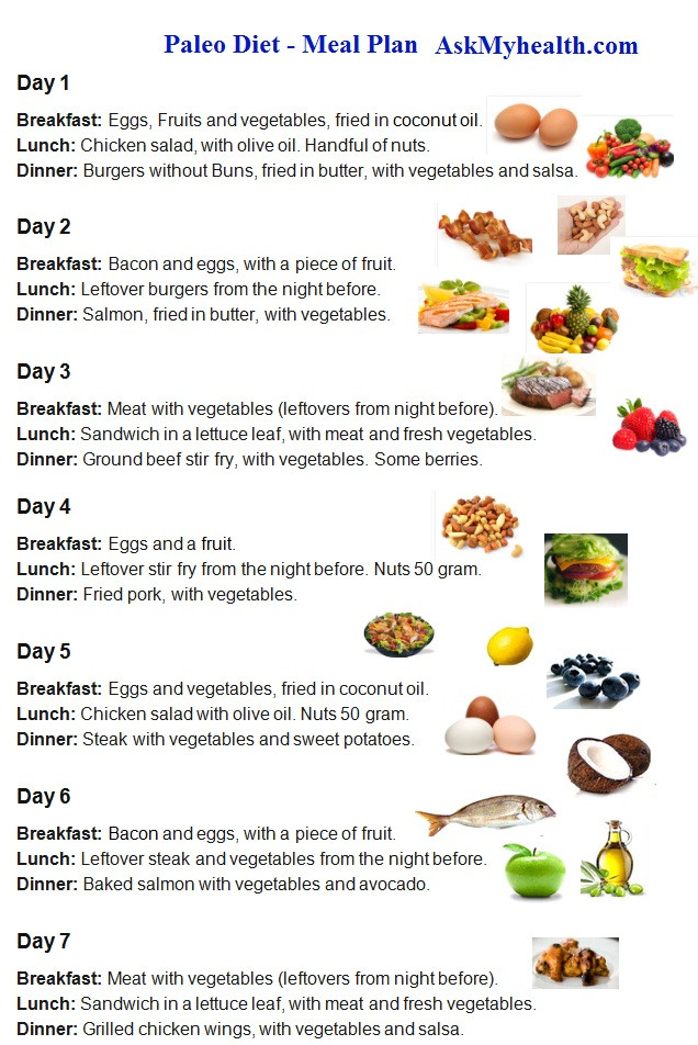 Paleo Diet Food Plan
 15 Day Paleo Diet Meal Plan Every Thing About Paleo Diet