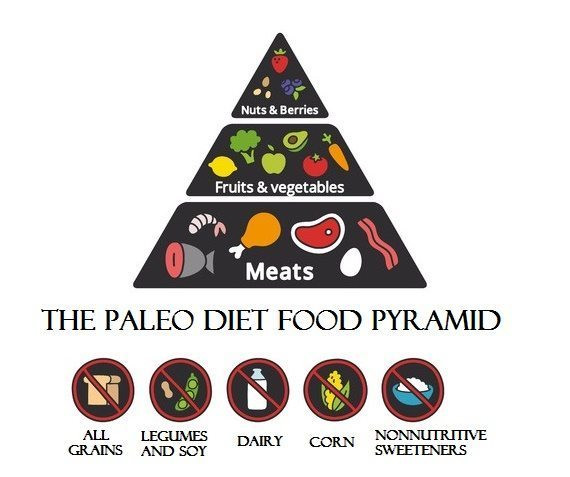 Paleo Diet Food Pyramid
 Eat Like a Caveman The Paleo Diet