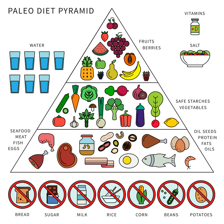 Paleo Diet Food Pyramid
 What Is The Paleo Diet