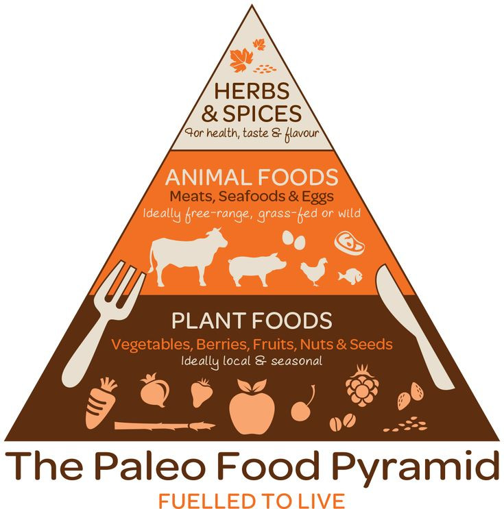 Paleo Diet Food Pyramid
 58 best ideas about Low carb high fat t on Pinterest
