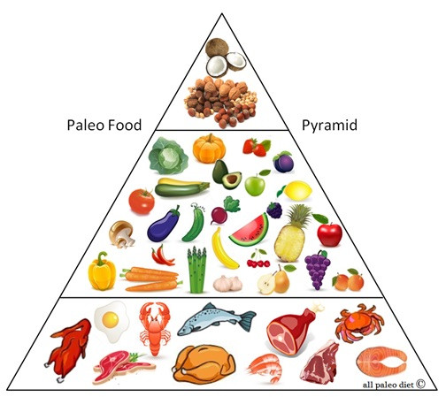 Paleo Diet Food Pyramid
 New to Paleo Paleo 101 video by MyPaleoPal