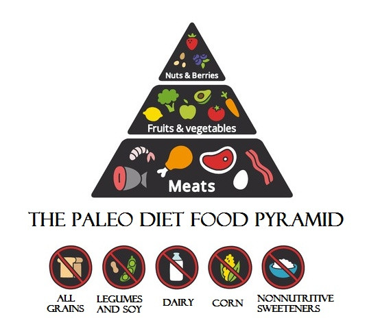 Paleo Diet Food Pyramid
 The Paleo Diet Plan What it is and Why You Should Try It
