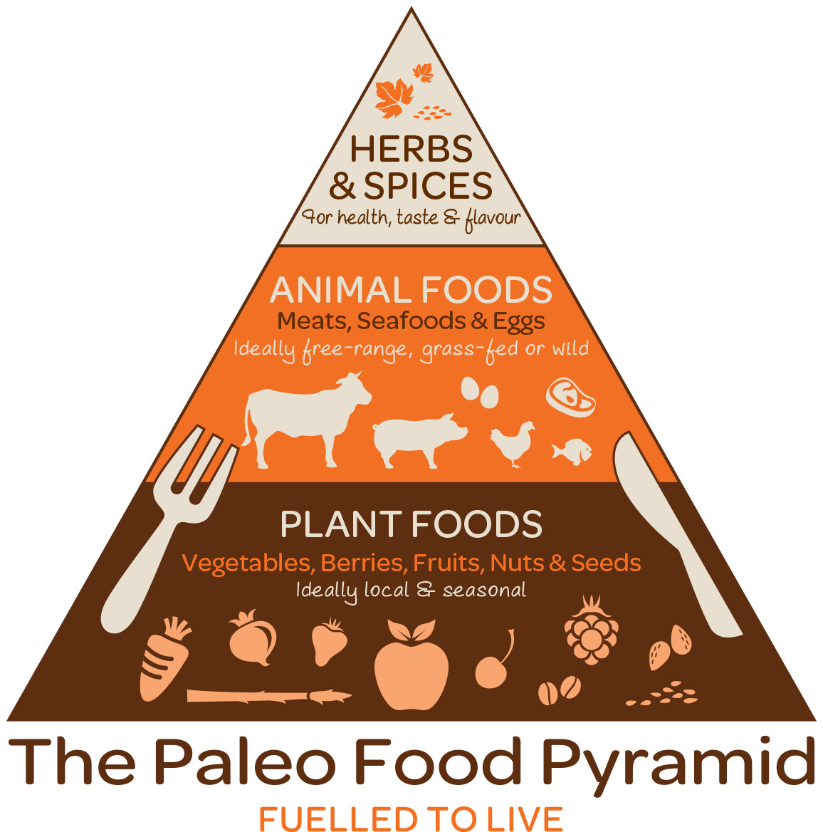 Paleo Diet Food Pyramid
 New Food Pyramid