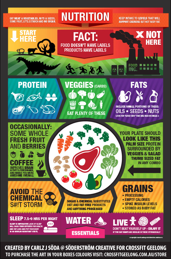 Paleo Diet Information
 Feeling the Paleo Burn Facts Versus Fiction [infographic]
