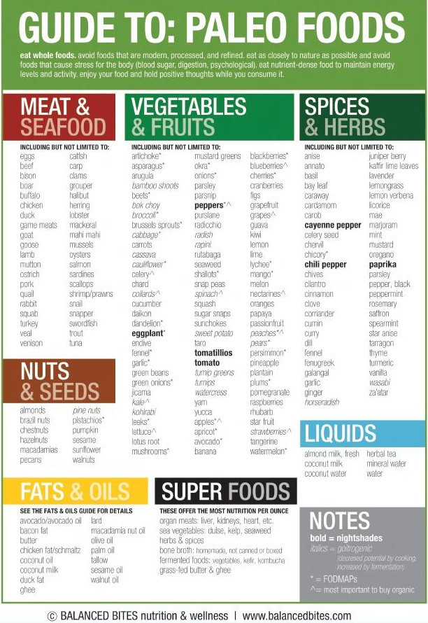 Paleo Diet Information
 Guide to Paleo Foods Cheat Sheet Best Infographics