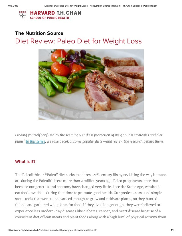Paleo Diet Reviews
 PALEO DIET Research for Weight Loss Harvard Medical