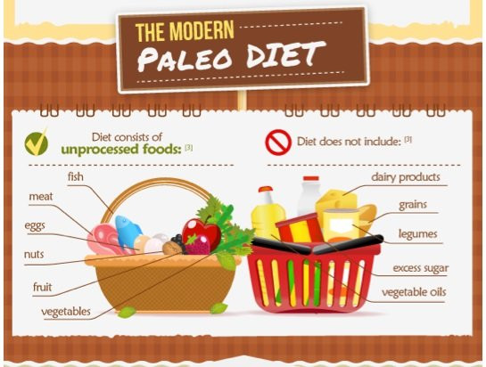 Paleo Diet Rules
 5 Rules And The Shopping List For Paleo Diet Fitneass