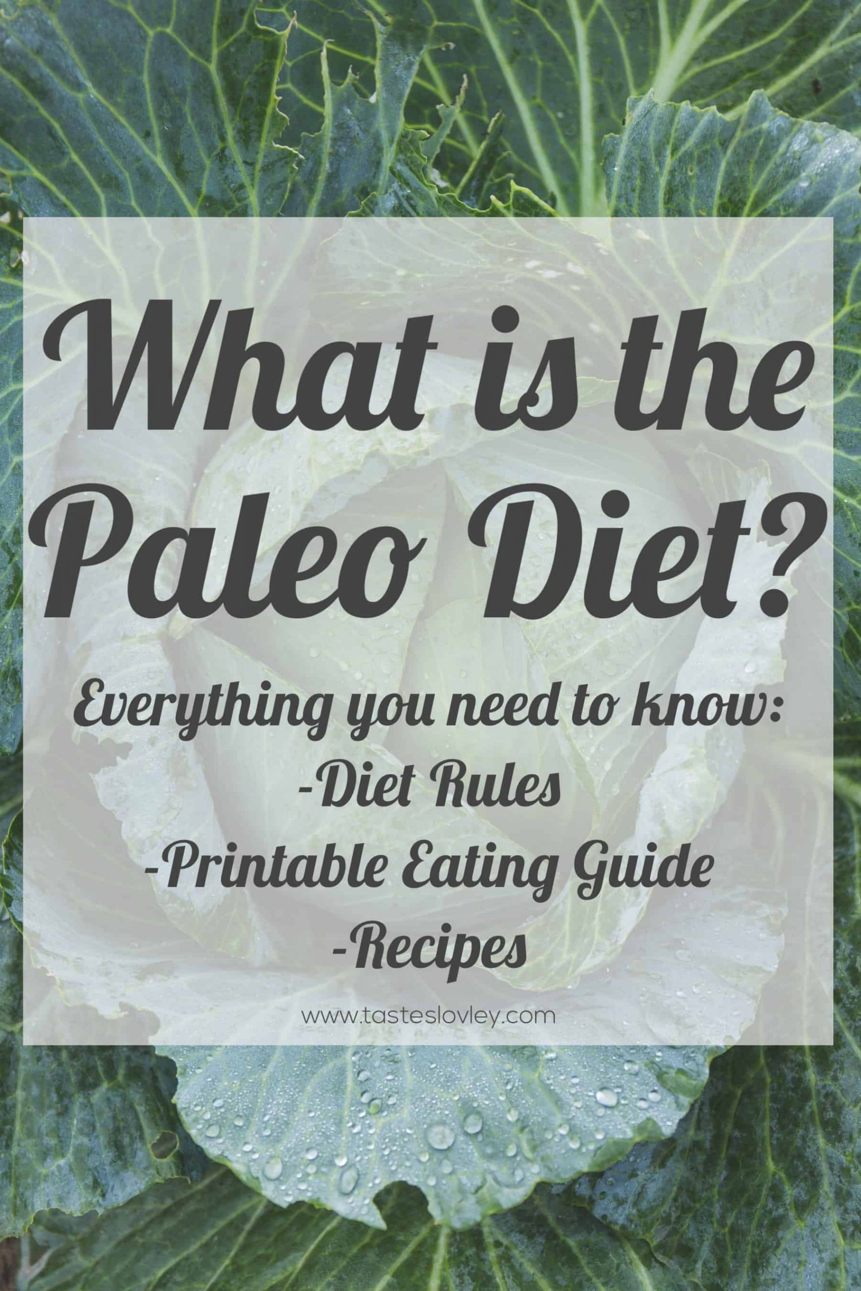 Paleo Diet Rules
 What is the Paleo Diet Tastes Lovely
