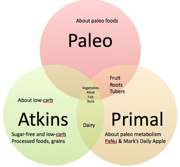 Paleo Diet Versus Atkins
 What’s the difference between Atkins and the Paleo t