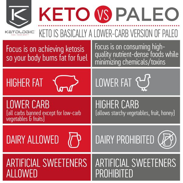 Paleo Diet Versus Atkins
 Diet parison What’s the difference among Keto Paleo
