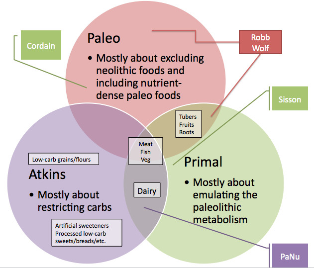 Paleo Diet Versus Atkins
 Ketogenic Vs Paleo Vs Atkins