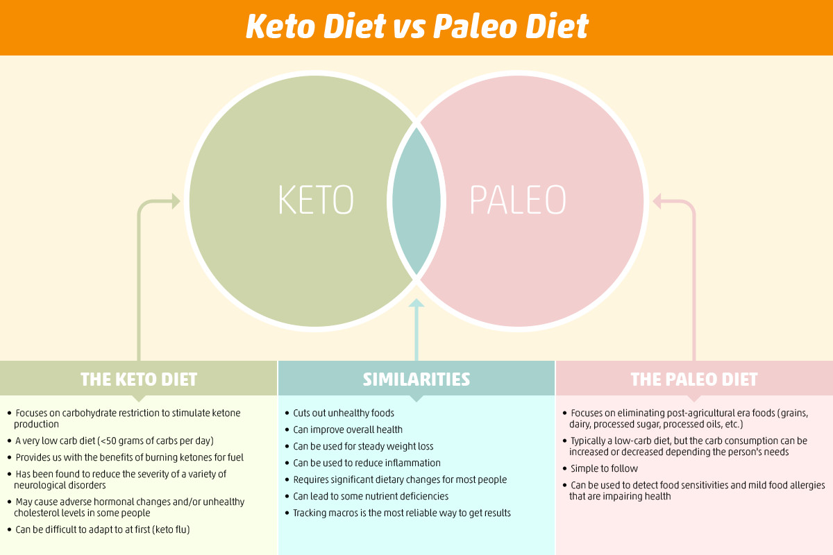 Paleo Diet Versus Atkins
 Atkins Diet For Beginner Keto Diet Benefits And Disadvantages
