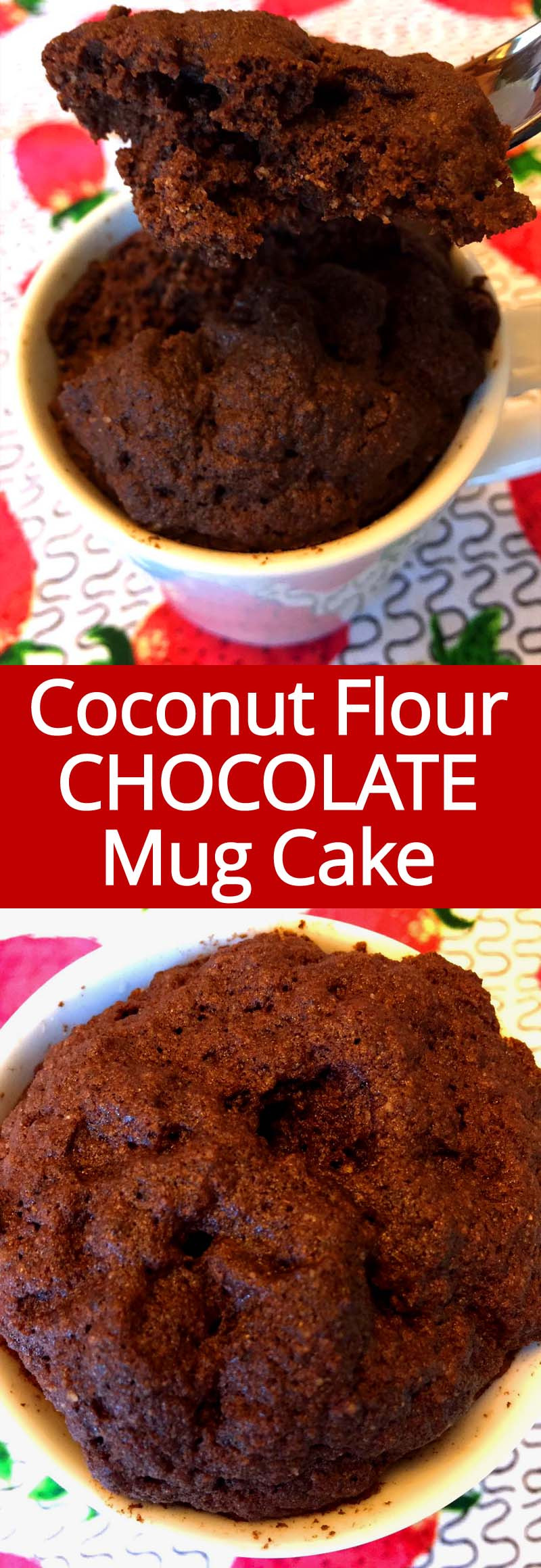 Paleo Mug Cake Coconut Flour
 Coconut Flour Chocolate Mug Cake Recipe Gluten Free