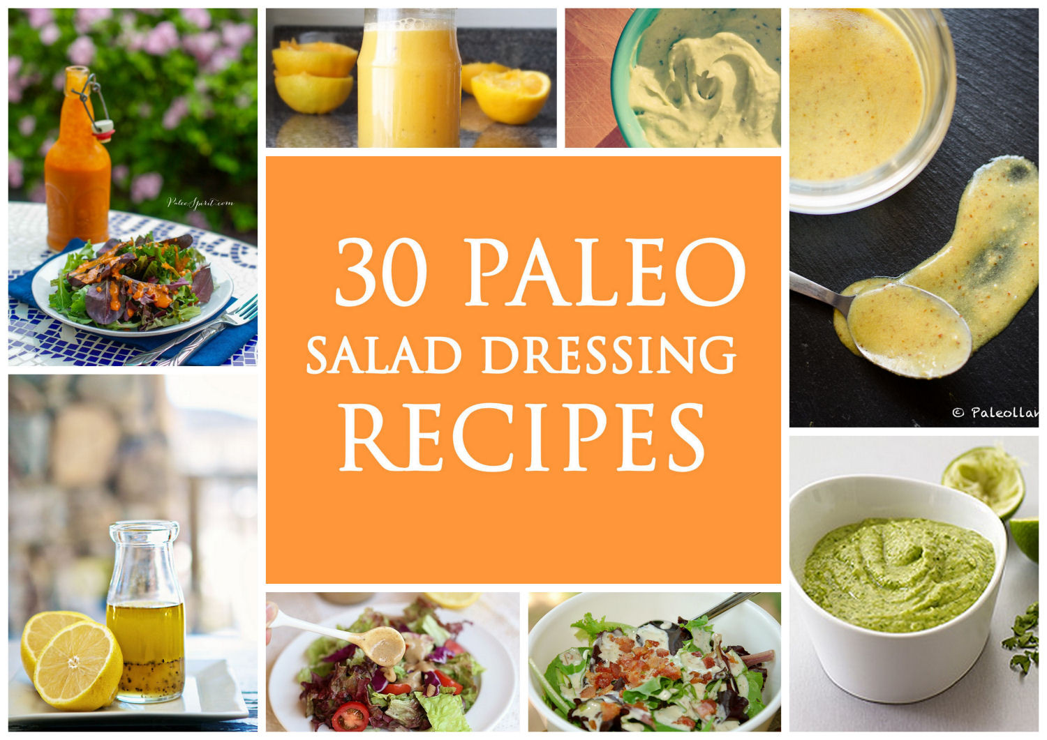 Paleo Salad Dressings Recipes
 30 Paleo Salad Dressing Recipes Paleo Zone Recipes