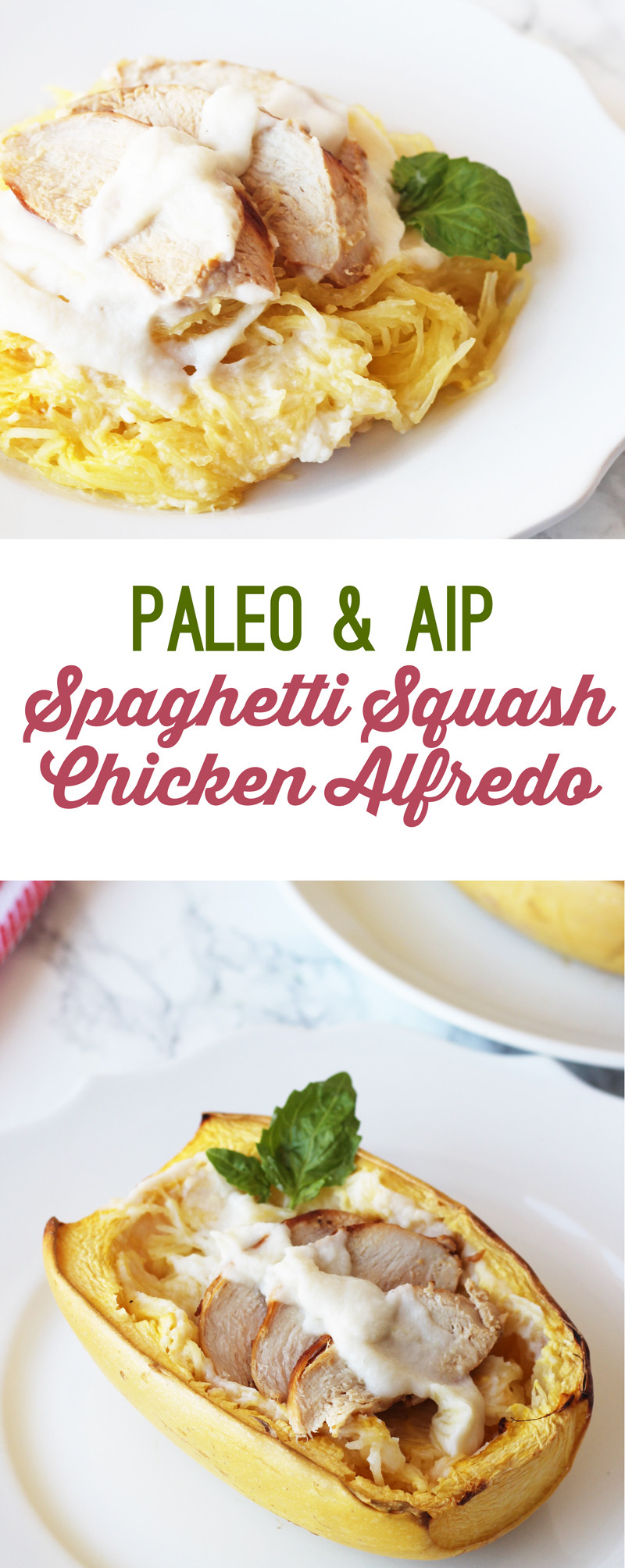Paleo Spaghetti Squash
 Paleo Spaghetti Squash Chicken Alfredo AIP & Dairy Free