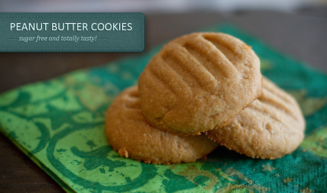 Peanut Butter Cookies For Diabetics
 Goo s for Diabetics – Sugar Free Peanut Butter Cookies