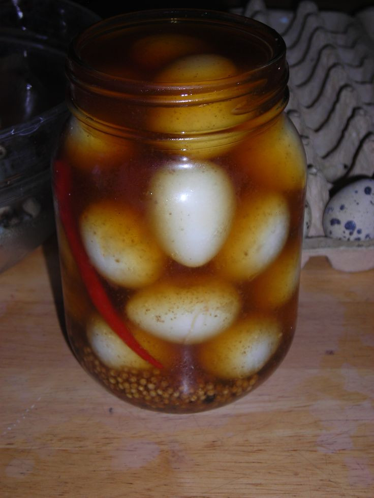 Pickled Quail Eggs
 Top 38 ideas about pickled quail eggs on Pinterest
