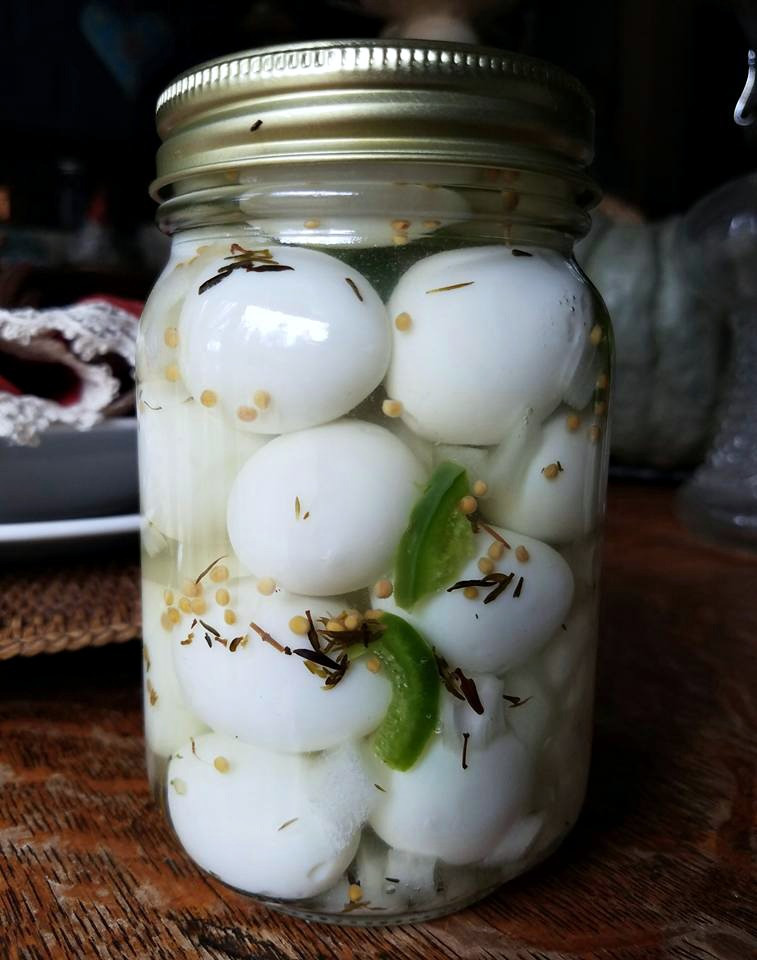 Pickled Quail Eggs Recipe
 Pickled Quail Eggs In A Jalapeno Brine