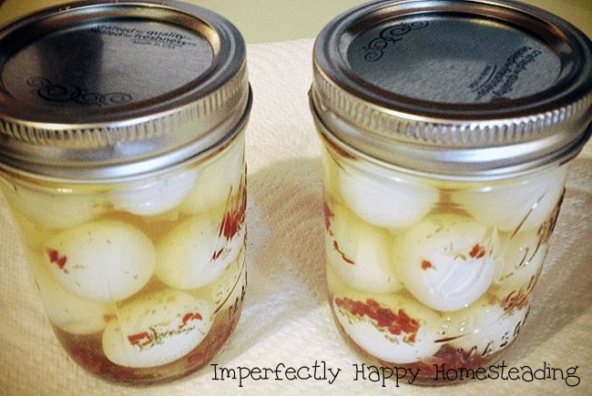 Pickled Quail Eggs Recipe
 Pickled Quail Eggs with a Kick Quick Yummy and a Family