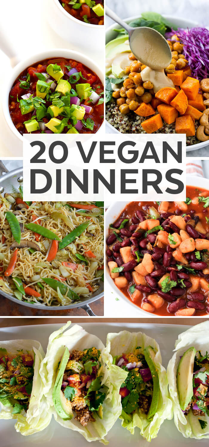 Pinterest Dinner Ideas
 20 Vegan Dinner Ideas Plant Based Diet Recipe Ideas