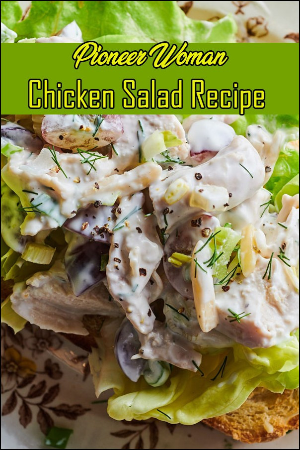 Pioneer Woman Chicken Salad Recipe
 Pioneer Woman Chicken Salad Recipe imgproject