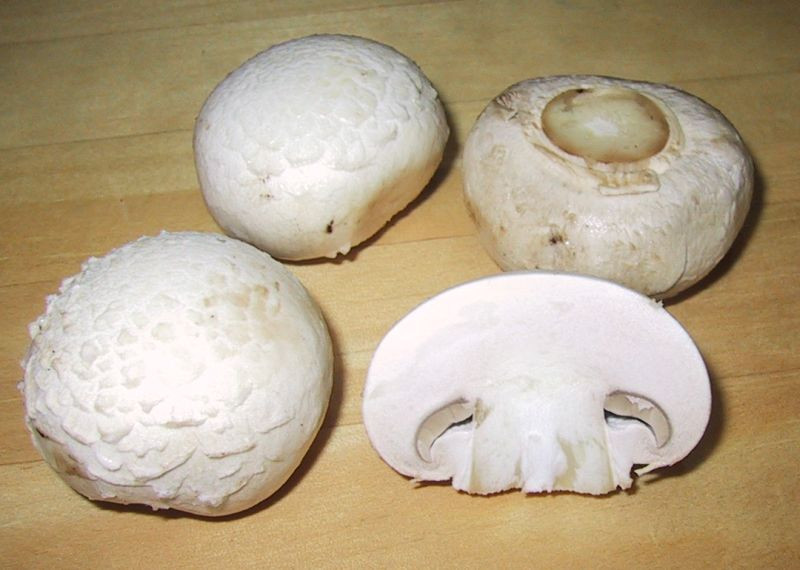 Portobello Mushrooms Wiki
 Agaricus bisporus