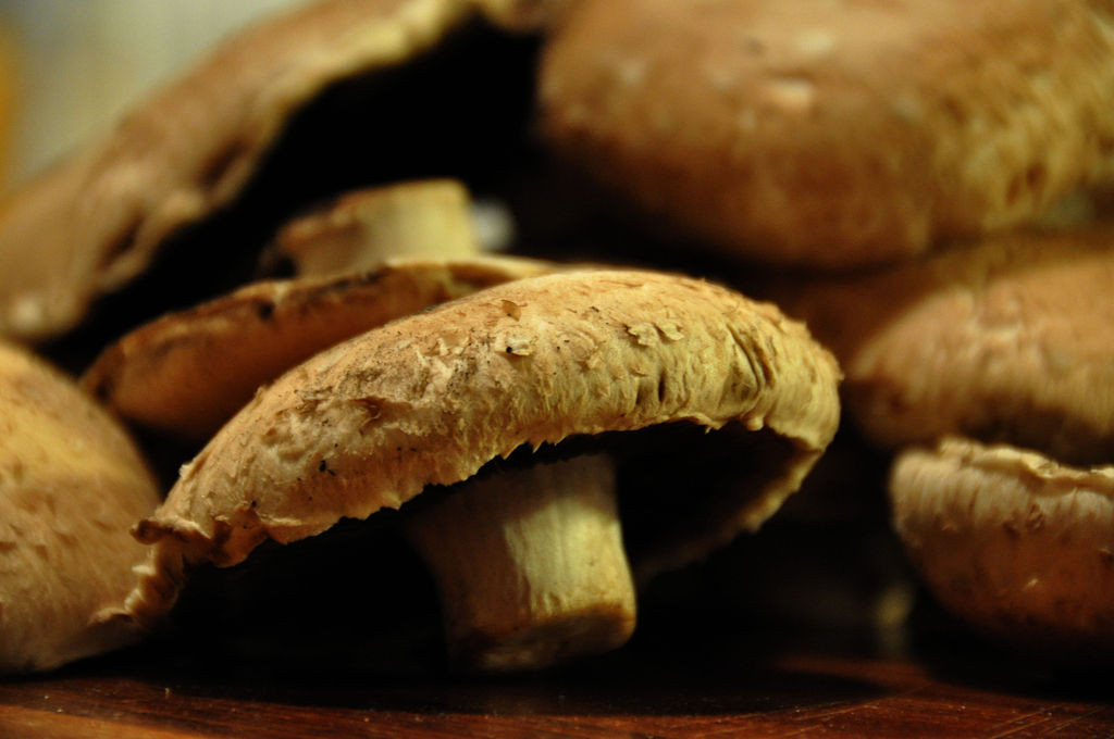 Portobello Mushrooms Wiki
 What to Know About Portobello Mushroom Nutrition Facts