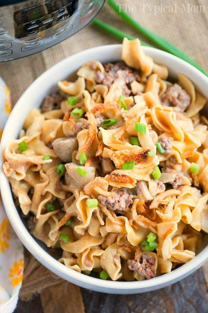 Pressure Cooker Beef Stroganoff Recipe
 Instant Pot Ground Beef Recipes · The Typical Mom