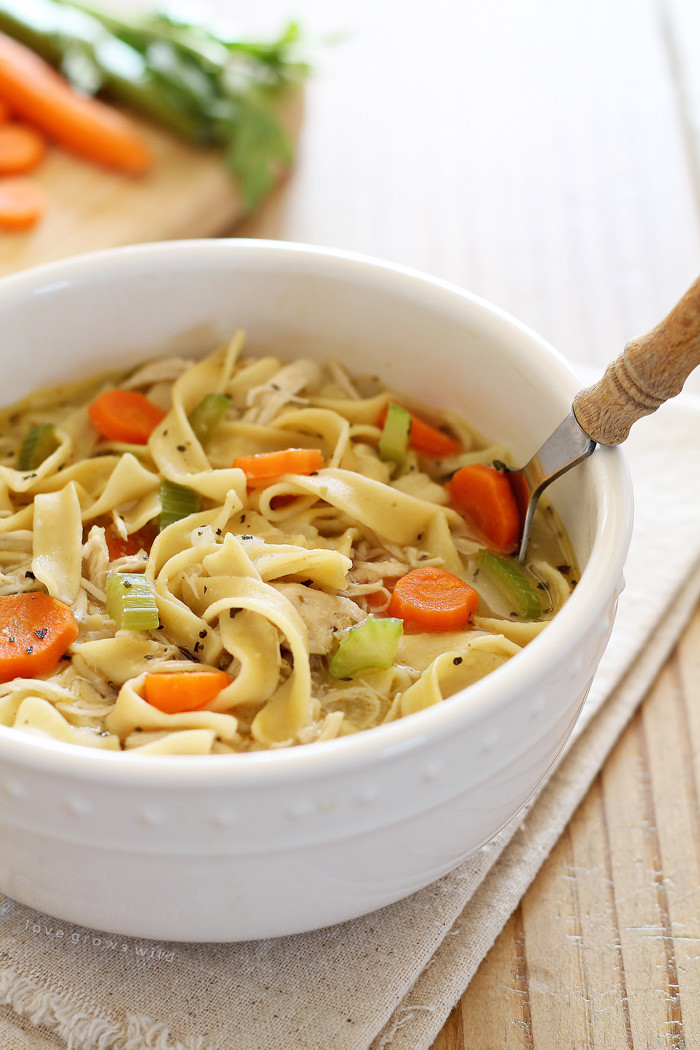 Quick Noodles Recipes
 Quick and Easy Chicken Noodle Soup Love Grows Wild