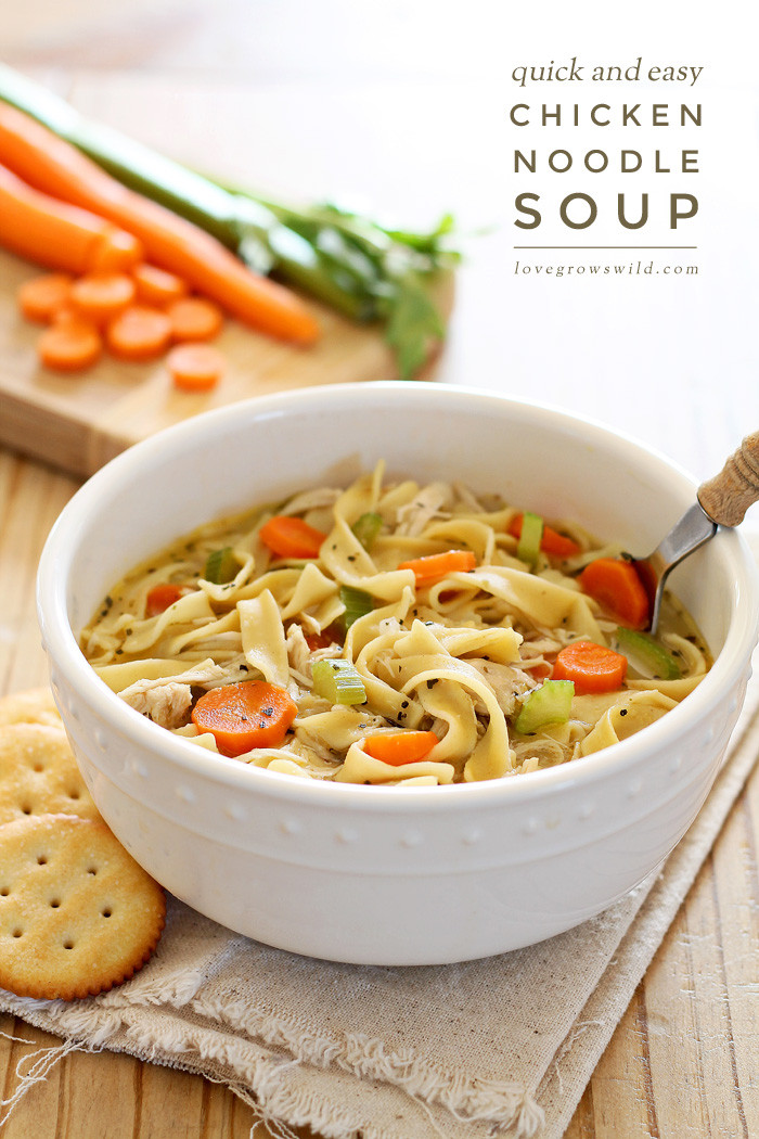 Quick Noodles Recipes
 Quick and Easy Chicken Noodle Soup Love Grows Wild