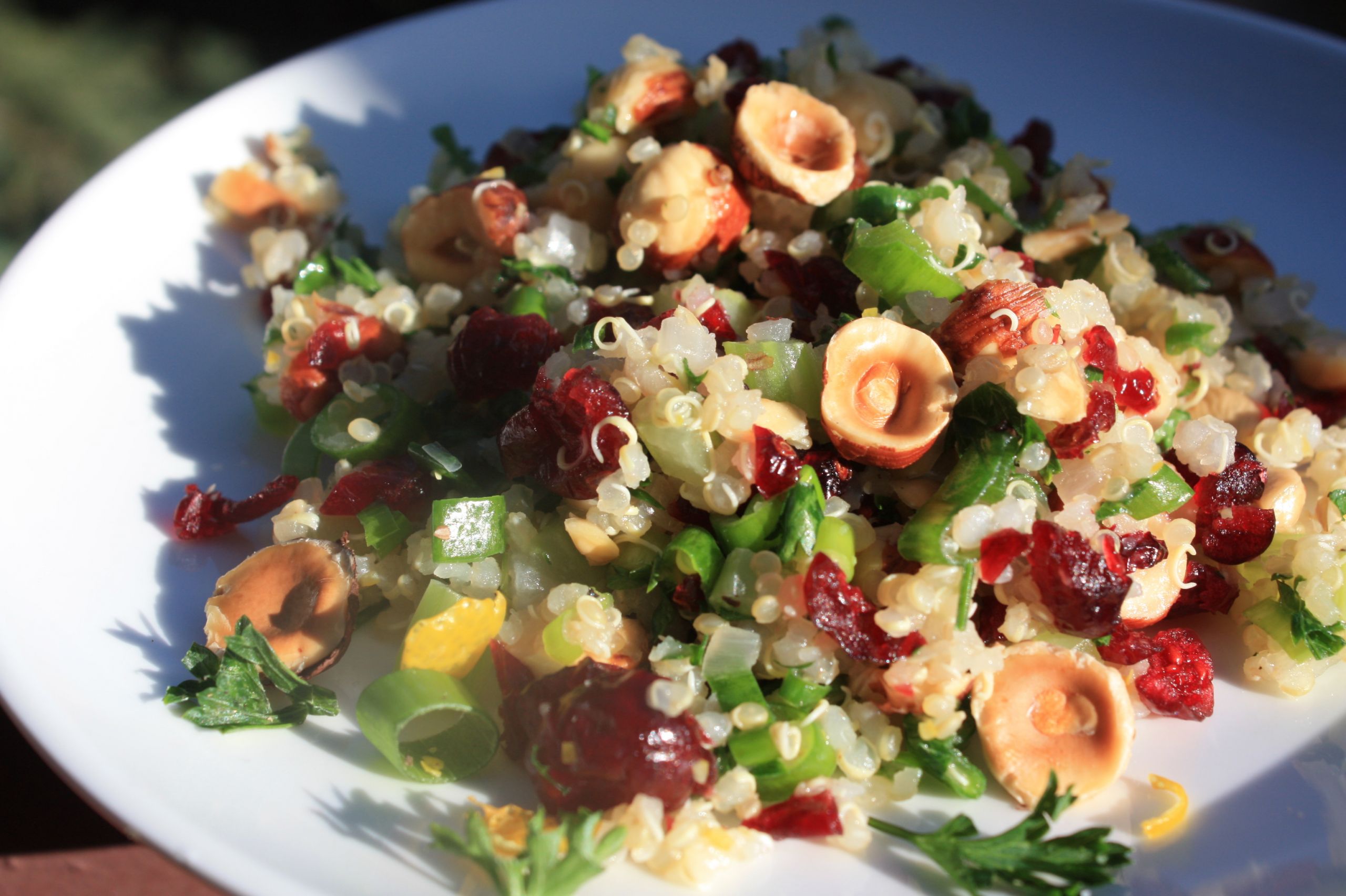 Quinoa Salad Cranberry
 Quinoa Salad with Hazelnuts Apple and Dried Cranberries