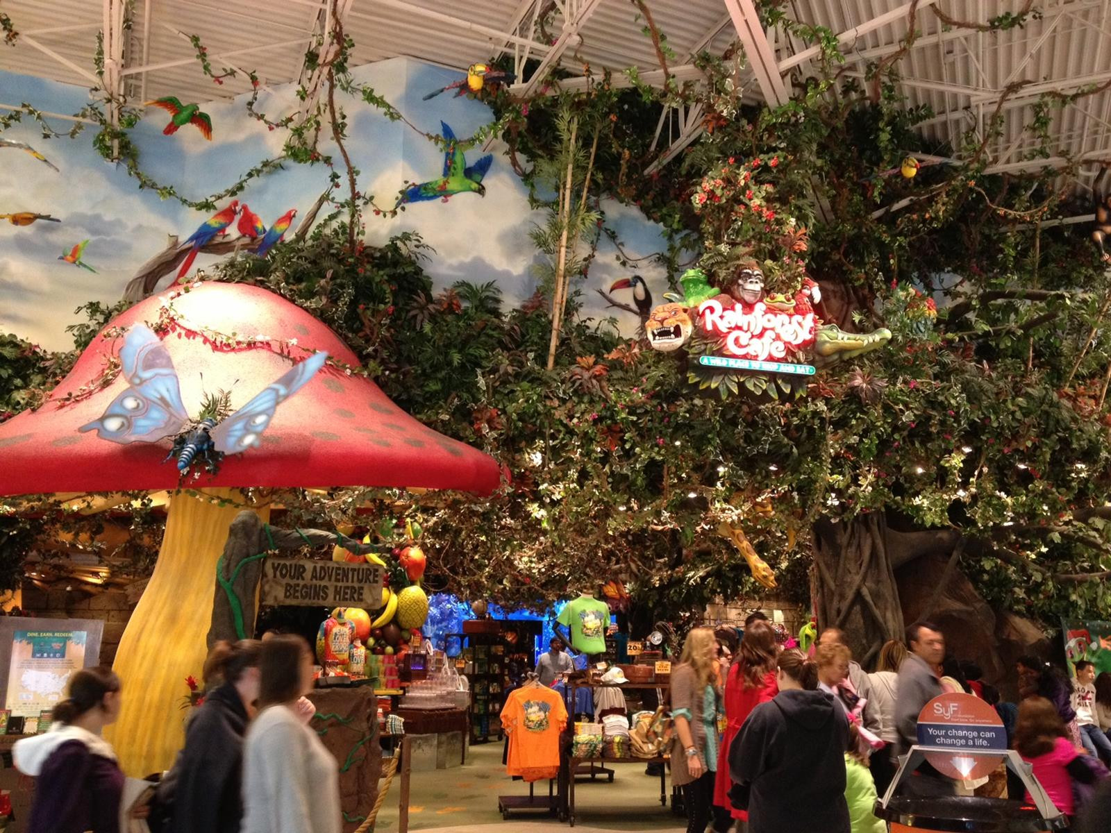 Rainforest Cafe Desserts Menu
 Hungry For Fun 10 Top Themed Restaurants for Student Groups