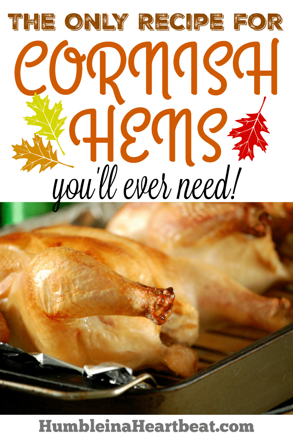 Recipe For Cornish Game Hens
 The BEST Cornish Hens Recipe The ly Recipe You Will