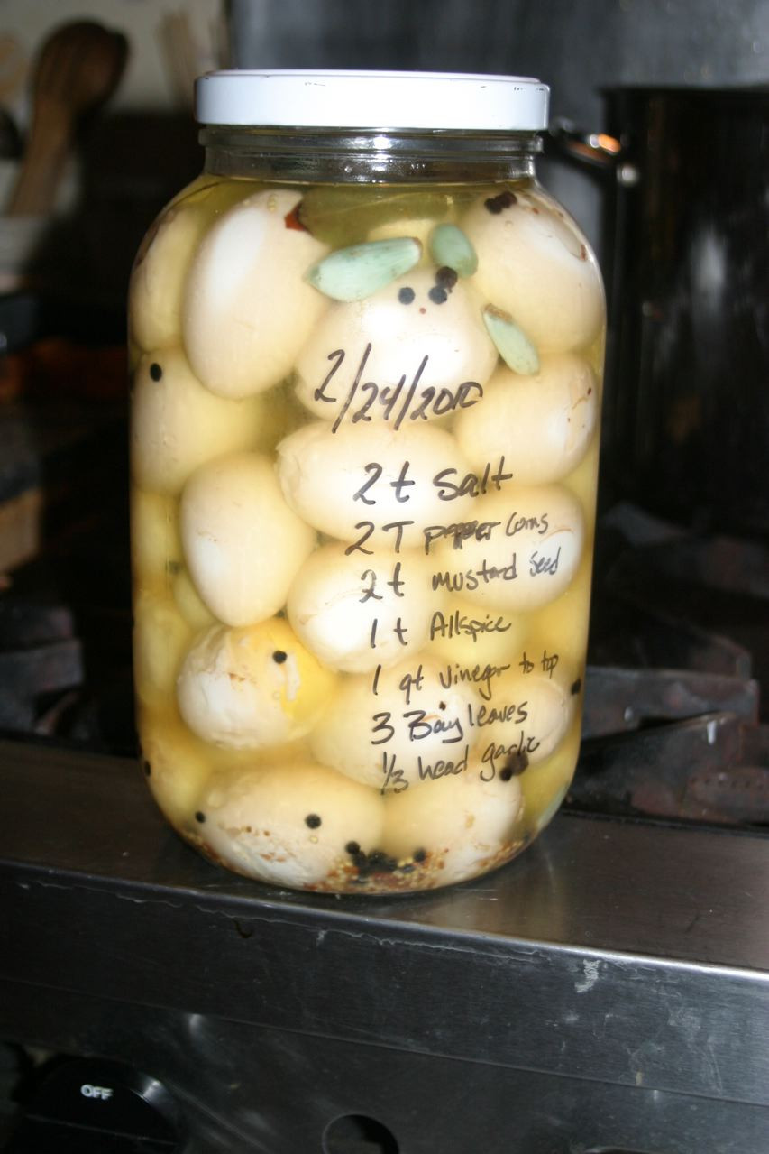 The 20 Best Ideas for Recipe for Pickled Eggs - Best Recipes Ideas and ...