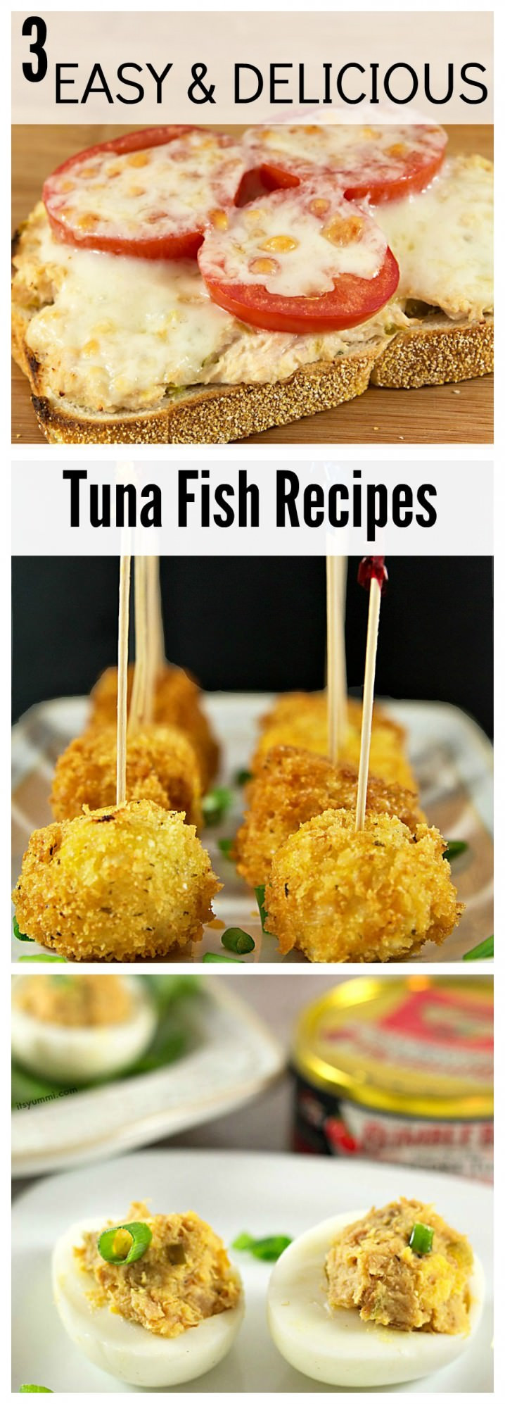 Recipes With Tuna Fish
 Easy Tuna Fish Recipes That Are Anything but Ordinary