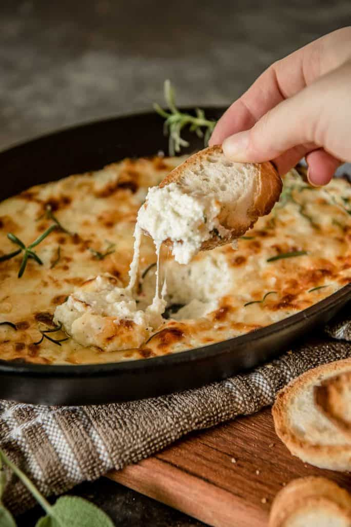 Ricotta Cheese Appetizers
 Baked Ricotta Dip and Capturing the Bite • The Crumby Kitchen