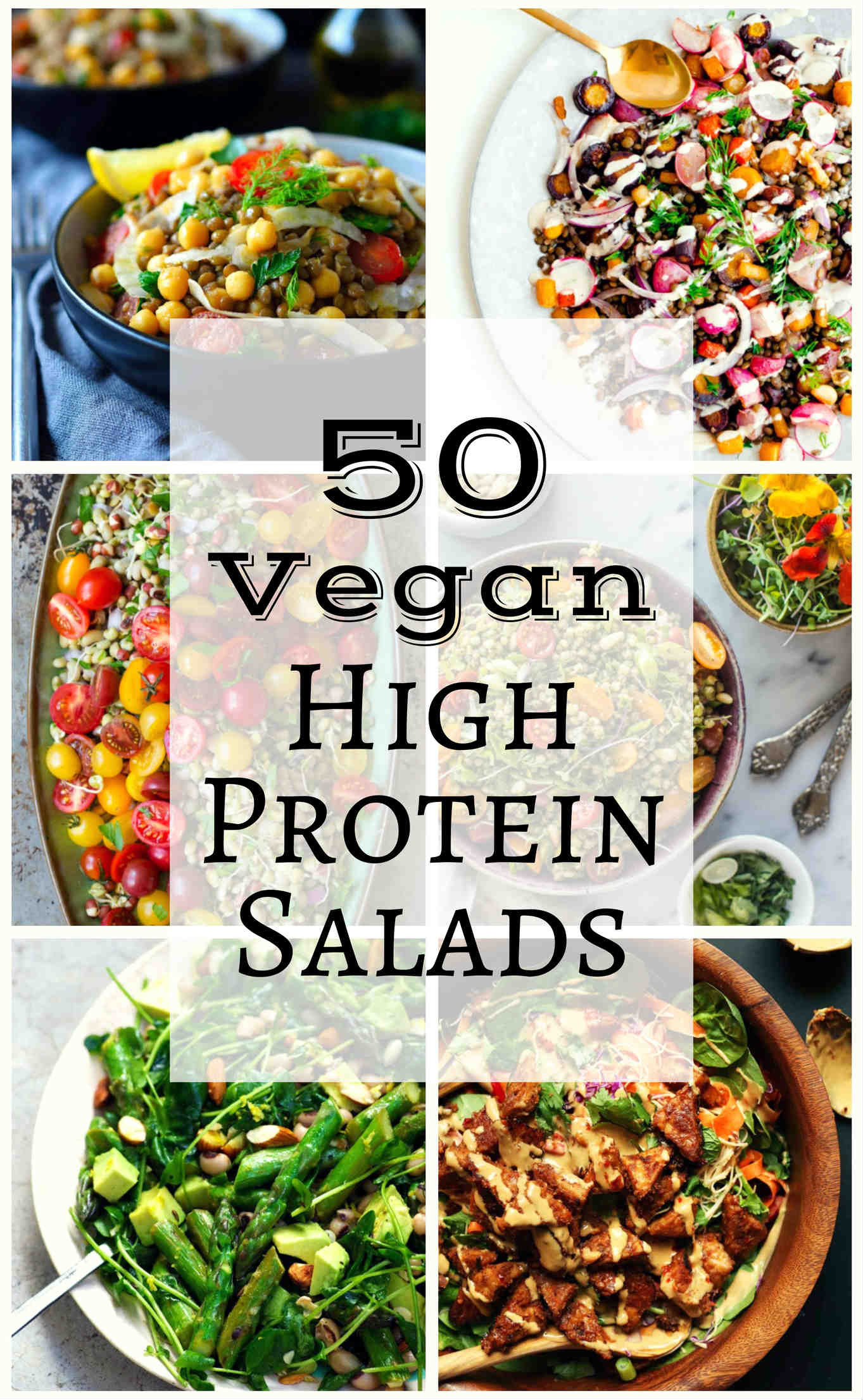 Salad Recipes Vegan
 50 Vegan High Protein Salads