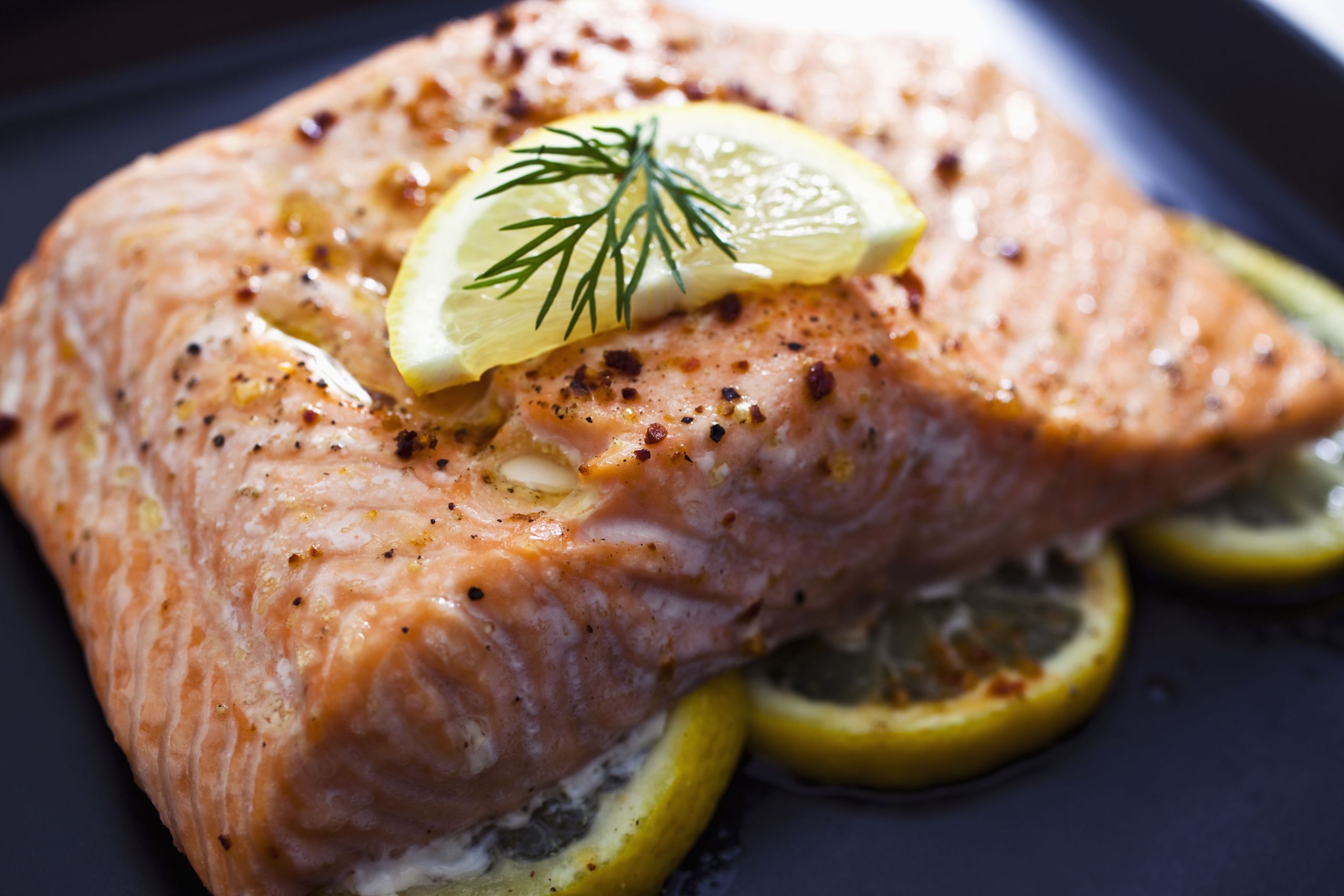 Salmon Fish Recipes
 Kosher Lemon Garlic Baked Salmon Fillet Recipe