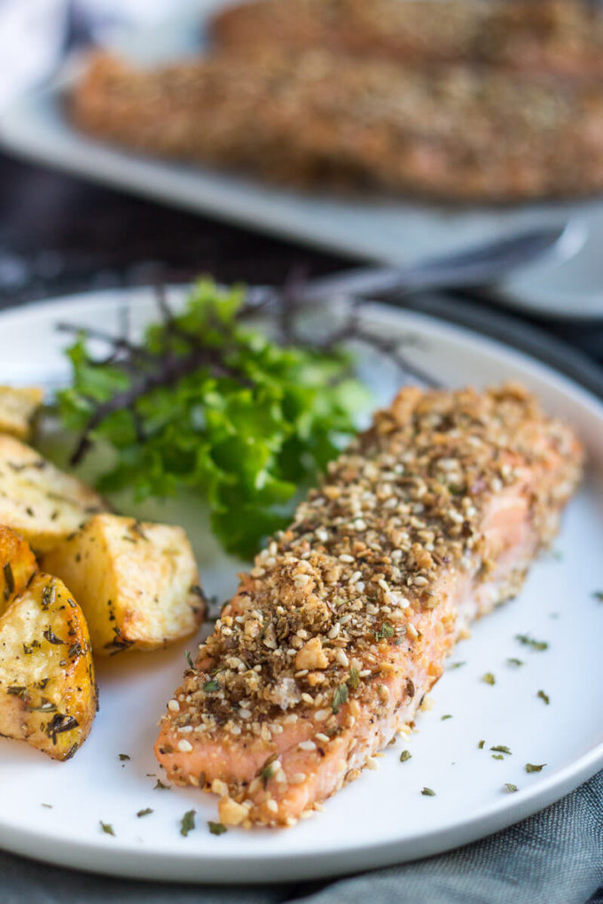 Salmon Fish Recipes
 Dukkah Crusted Baked Salmon Fillets Easy Peasy Meals